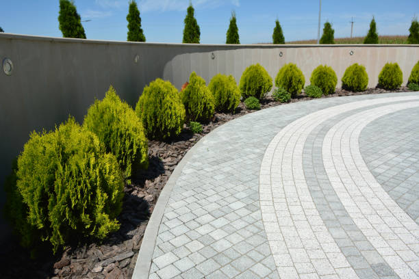Best Driveway Paving Contractor  in Lakemont, PA